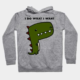 I Do What I Want Hoodie